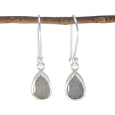 Labradorite-Latin-American-Eun-ji-Solitaire-Dangle-Gray-925-Silver-Earring