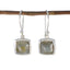 Labradorite-Japanese-Jiwoo-Solitaire-Dangle-Gray-925-Silver-Earring