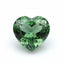 Green Tourmaline 1PC Small 7x7 MM Heart Faceted Green Splendid Semi Precious Gems