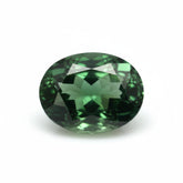 Green Tourmaline 1PC Medium 7x10 MM Oval Faceted Green Fine Semi Precious Loose Gemstone