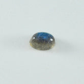 Labradorite 1PC Medium 7x10 MM Oval Cabochon Gray Splendid semi Precious Semi Precious Gemstone