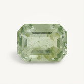 Moss Agate 1PC Medium 7x10 MM Emerald Faceted Green Shine Semi Precious Loose Gemstones