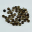 Smoky Quartz 10PC Tiny 4x4 MM Round Cabochon Brown Lustrous semi Precious Gems