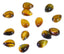 Tiger Eye 10PC Tiny 3x5 MM Pear Cabochon Brown Fine semi Precious Semi Precious Gemstone