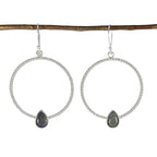 Labradorite-Middle-Eastern-Seo-yeon-Solitaire-Dangle-Gray-92.5-Silver-Earring