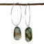 Labradorite-Italian-Seo-yeon-multiple-Dangle-Gray-92.5-Silver-Earring