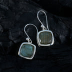 Labradorite-Latin-American-Clara-Solitaire-Dangle-Gray-Silver-Earring