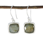 Labradorite-Latin-American-Clara-Solitaire-Dangle-Gray-Silver-Earring