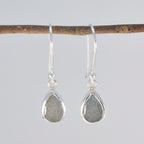 Labradorite-Latin-American-Eun-ji-Solitaire-Dangle-Gray-925-Silver-Earring