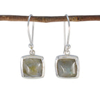 Labradorite-Japanese-Jiwoo-Solitaire-Dangle-Gray-925-Silver-Earring