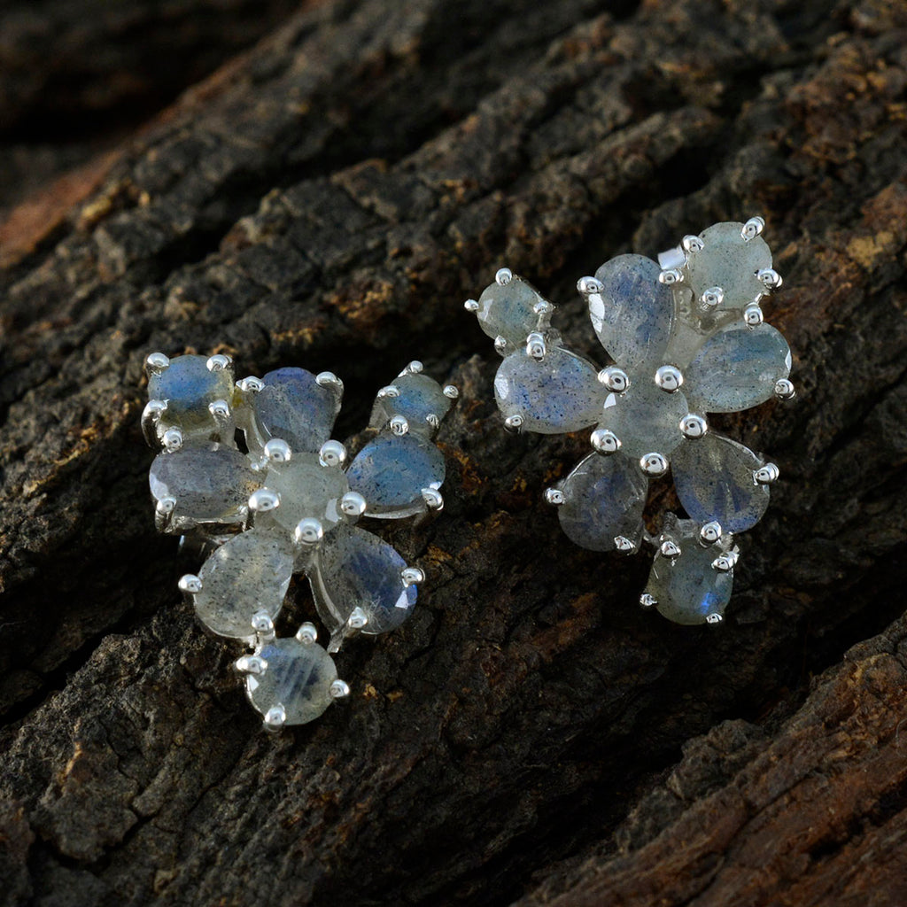 Labradorite-Egyptian-Hanna-multiple-Stud-Gray-925-Silver-Earring