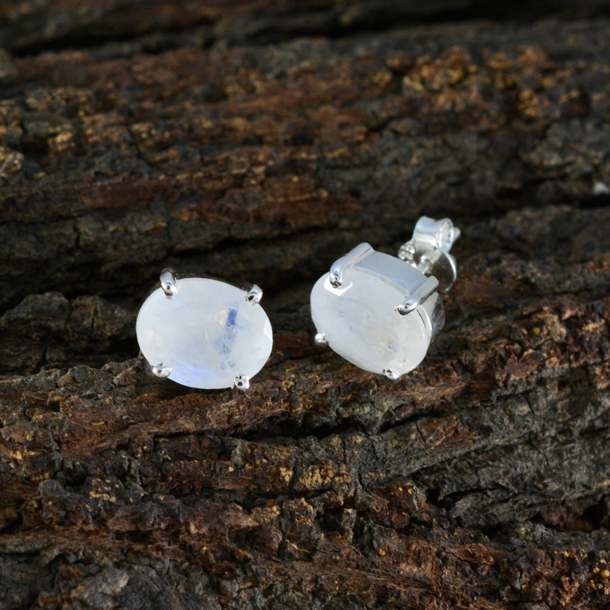 Rainbow-Moonstone-Middle-Eastern-Paula-Solitaire-Stud-White-Sterling-Silver-Earring