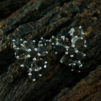 Smoky-Quartz-Japanese-Hazel-multiple-Stud-Brown-Silver-Earring