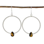 Tiger-Eye-Mexican-Soo-jin-Solitaire-Dangle-Brown-925-Sterling-Silver-Earring
