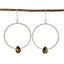 Tiger-Eye-Mexican-Soo-jin-Solitaire-Dangle-Brown-925-Sterling-Silver-Earring