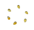 Citrine 10PC Tiny 3x5 MM Pear Cabochon Yellow Natural semi Precious Semi Precious Gemstone