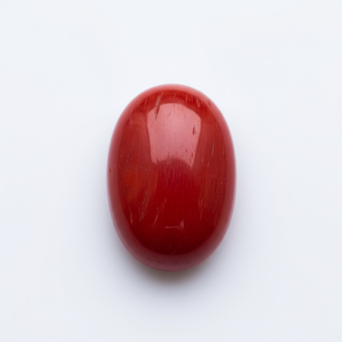 Coral 1PC Medium 8x10 MM Oval Cabochon Red Luster Precious Precious Gemstone