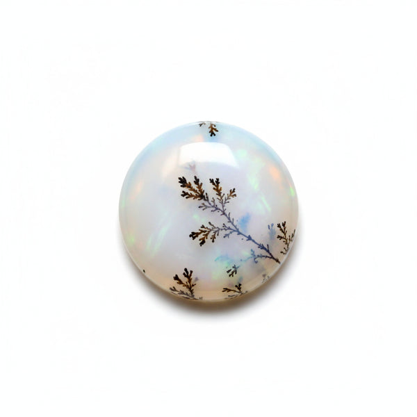 Dendrite Opal 10PC Tiny 5x5 MM Round Cabochon White Genuine semi Precious Loose Gemstones
