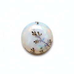 Dendrite Opal 10PC Tiny 5x5 MM Round Cabochon White Genuine semi Precious Loose Gemstones