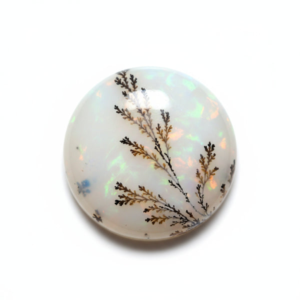 Dendrite Opal 10PC Tiny 5x5 MM Round Cabochon White Genuine semi Precious Loose Gemstones