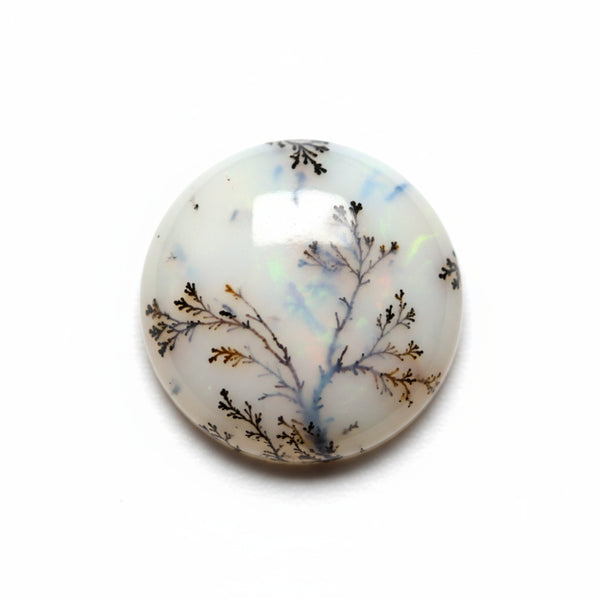 Dendrite Opal 1PC Tiny 6x6 MM Round Cabochon White Superior semi Precious Semi Precious Gemstone