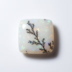 Dendrite Opal 1PC Large 10x10 MM Square Cabochon White Shine semi Precious Loose Gemstones