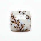 Dendrite Opal 1PC Large 10x10 MM Square Cabochon White Shine semi Precious Loose Gemstones