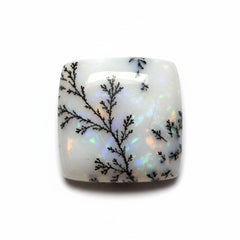 Dendrite Opal 1PC Large 11x11 MM Square Cabochon White Fine semi Precious Semi Precious Gemstone