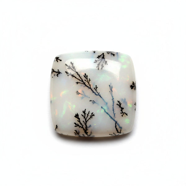 Dendrite Opal 1PC Tiny 6x6 MM Square Cabochon White Polished semi Precious Precious Gemstone
