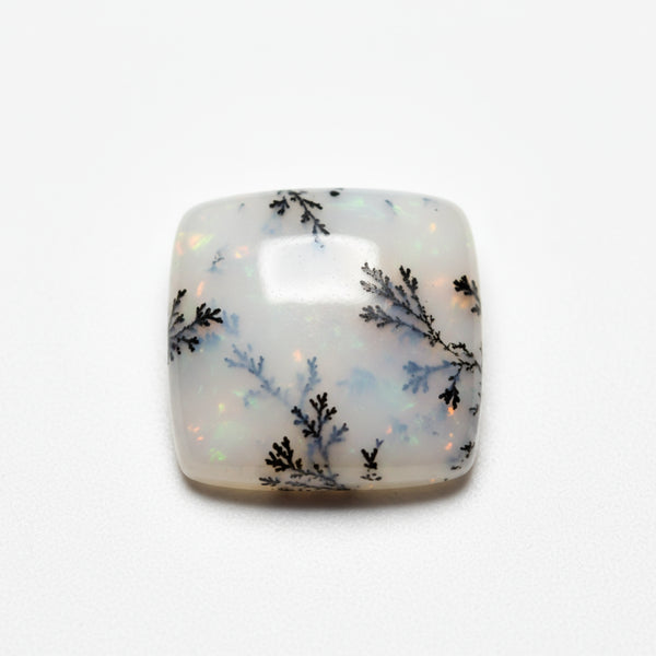 Dendrite Opal 1PC Small 8x8 MM Square Cabochon White Luster semi Precious Loose Gems