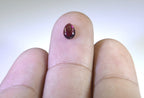 Garnet 1PC Tiny 5x7 MM Pear Cabochon Red Natural semi Precious Semi Precious Gemstone