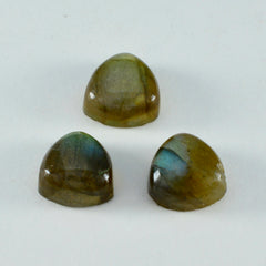 Labradorite 1PC Medium 9x9 MM Square Cabochon Gray Pure semi Precious Loose Gems