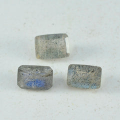 Labradorite 1PC Medium 8x10 MM Emerald Faceted Gray Splendid Semi Precious Gems