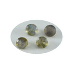 Labradorite 10PC Tiny 5x5 MM Round Faceted Gray Sparkling Semi Precious Gems