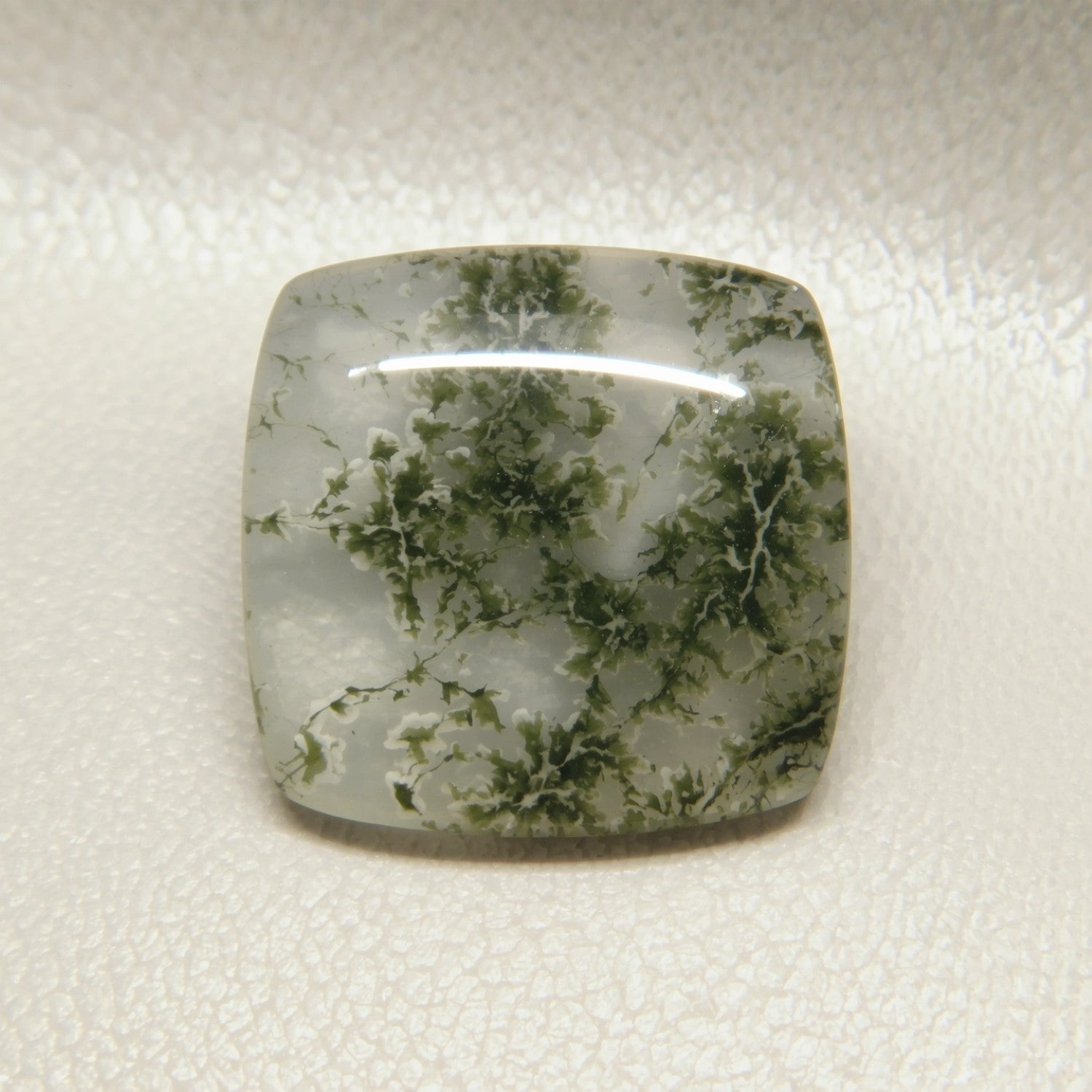 Moss Agate 10PC Tiny 5x5 MM Cushion Cabochon Green Shine semi Precious Loose Gems Image principale du produit