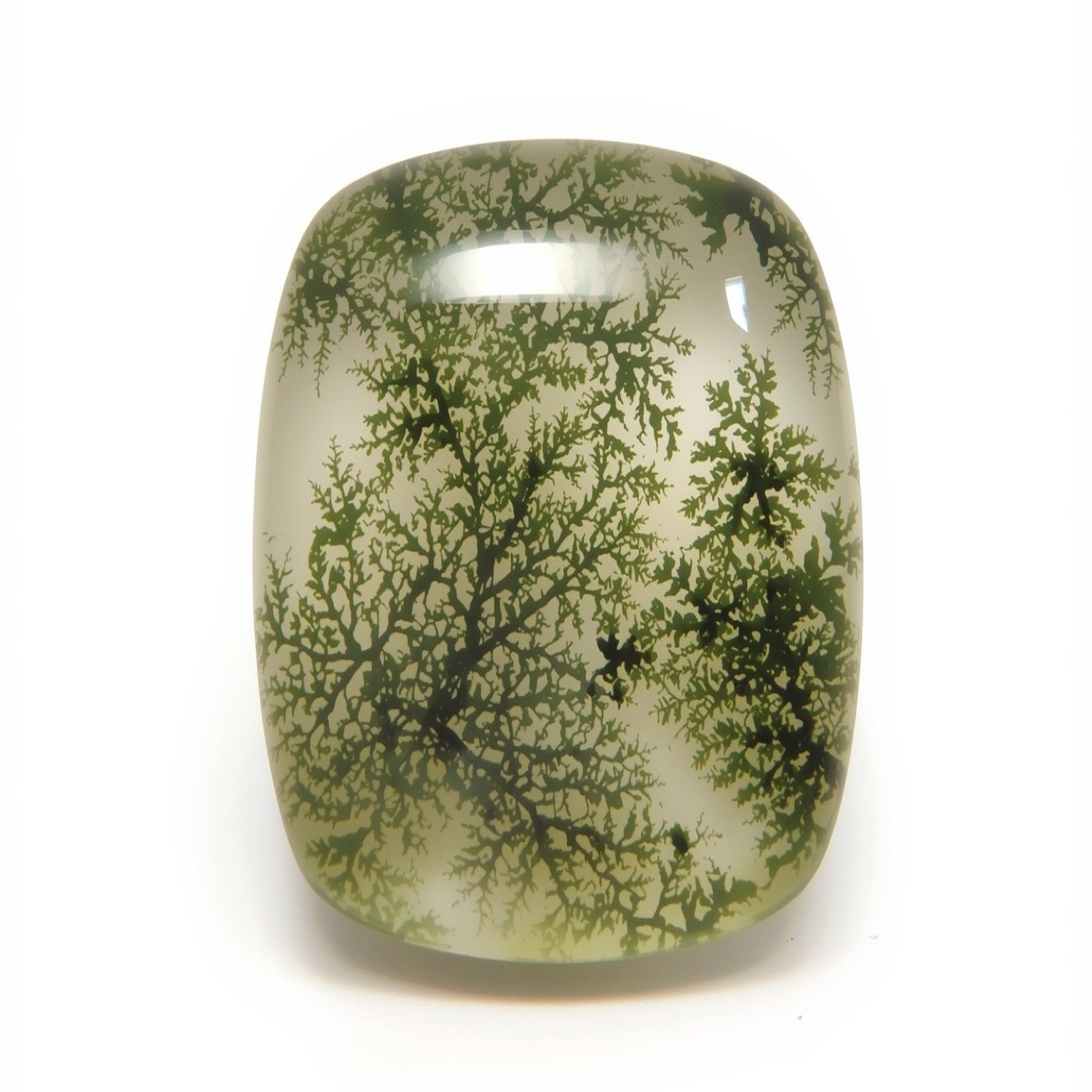Moss Agate 1PC Large 10x12 MM Emerald Cabochon Green Sparkling semi Precious Gems