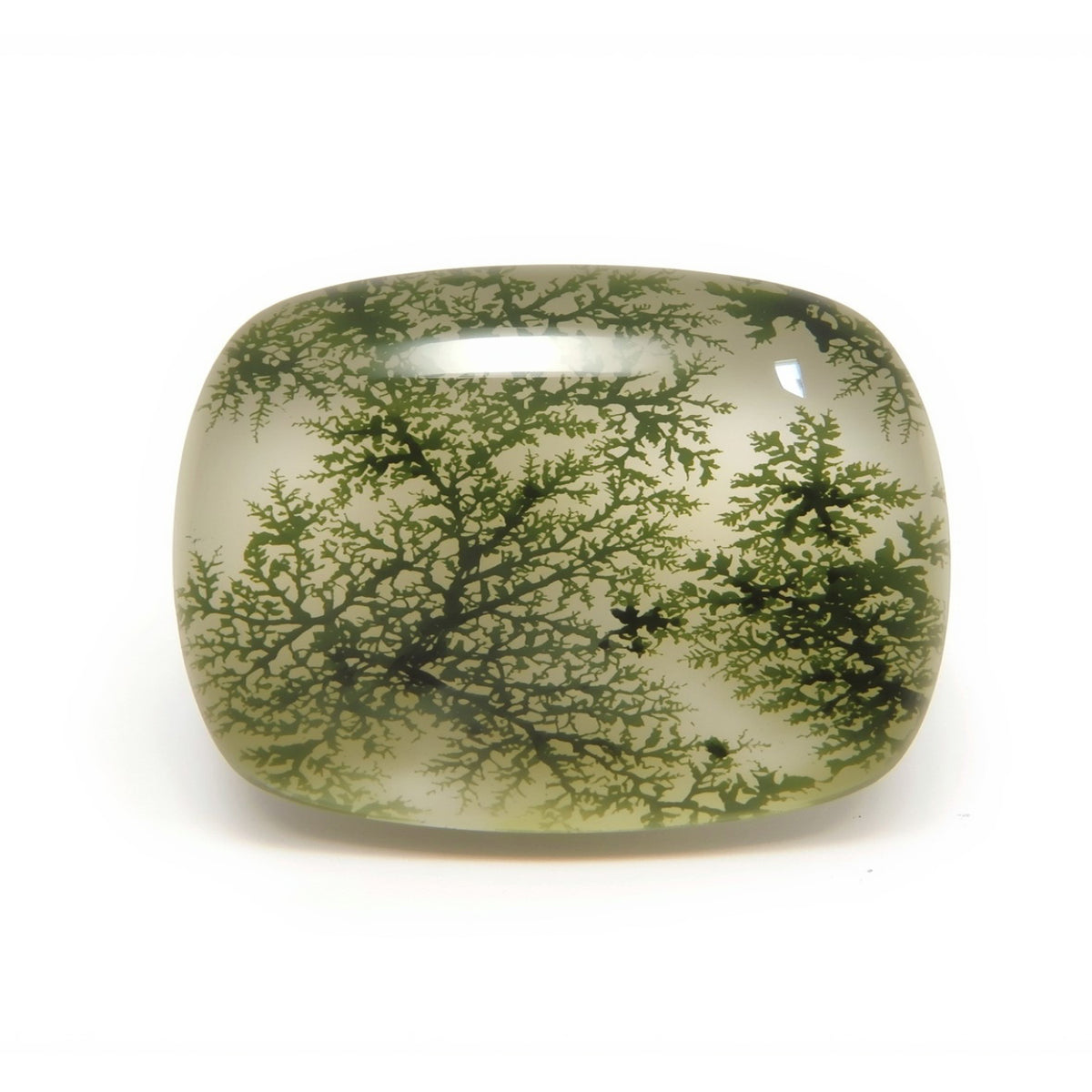 Moss Agate 1PC Medium 7x10 MM Emerald Cabochon Green Superior semi Precious Loose Gemstone