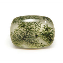 Moss Agate 1PC Medium 7x10 MM Emerald Cabochon Green Superior semi Precious Loose Gemstone