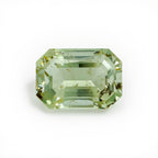 Moss Agate 1PC Large 10x12 MM Emerald Faceted Green Genuine Semi Precious Loose Gemstones