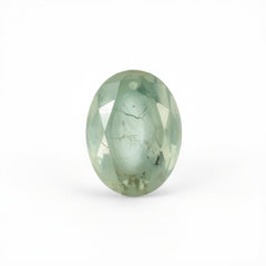 Moss Agate 1PC Medium 8x10 MM Oval Faceted Green Sparkling Semi Precious Gems