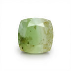 Moss Agate 1PC Medium 9x9 MM Square Faceted Green Lustrous Semi Precious Gems