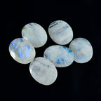 Rainbow Moonstone 1PC Large 10x14 MM Oval Faceted White Natural Semi Precious Gems