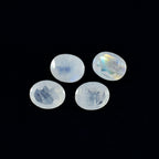 Rainbow Moonstone 1PC Large 10x14 MM Oval Faceted White Natural Semi Precious Gems