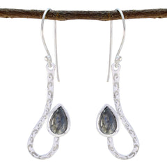 Riyo Natural Gemstone Pear Cabochon Grey Labradorite Silver Earring halloween gift