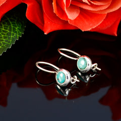 Riyo Real Gemstones round Cabochon Multi Turquoise Silver Earrings girlfriend gift