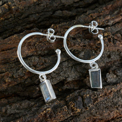 Riyo Attractive Sterling Silver Earring For Femme Labradorite Earring Bezel Setting Multi Earring Dangle Earring