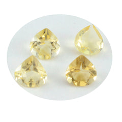 Riyogems 1PC Natural Yellow Citrine Faceted 8x8 mm Heart Shape awesome Quality Gems