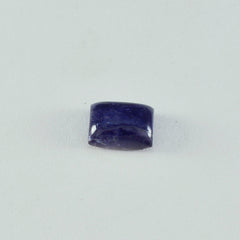 riyogems 1pc cabochon di iolite blu 10x12 mm forma ottagonale gemma di qualità a+1