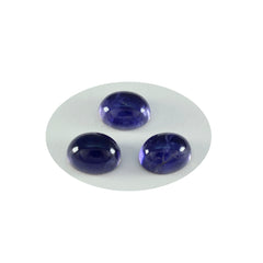 Riyogems 1PC Blue Iolite Cabochon 10x12 mm Oval Shape handsome Quality Loose Stone