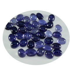Riyogems 1PC Blue Iolite Cabochon 6x8 mm Oval Shape excellent Quality Stone